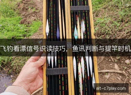 飞钓看漂信号识读技巧，鱼讯判断与提竿时机